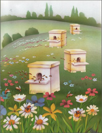 Бизнес-идея: разводим пчел