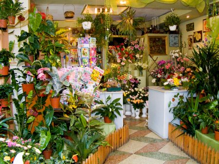 Собственный цветочный магазин